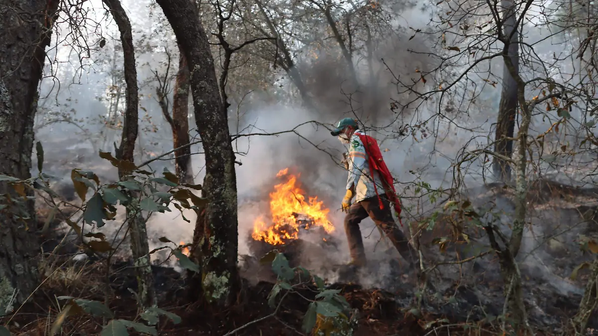 Fueron varias horas de trabajo en la zona afectada