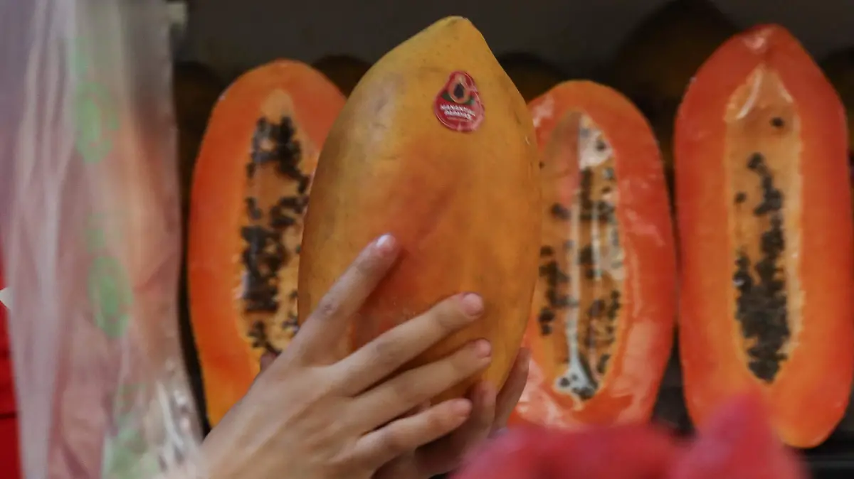 SJR La papaya