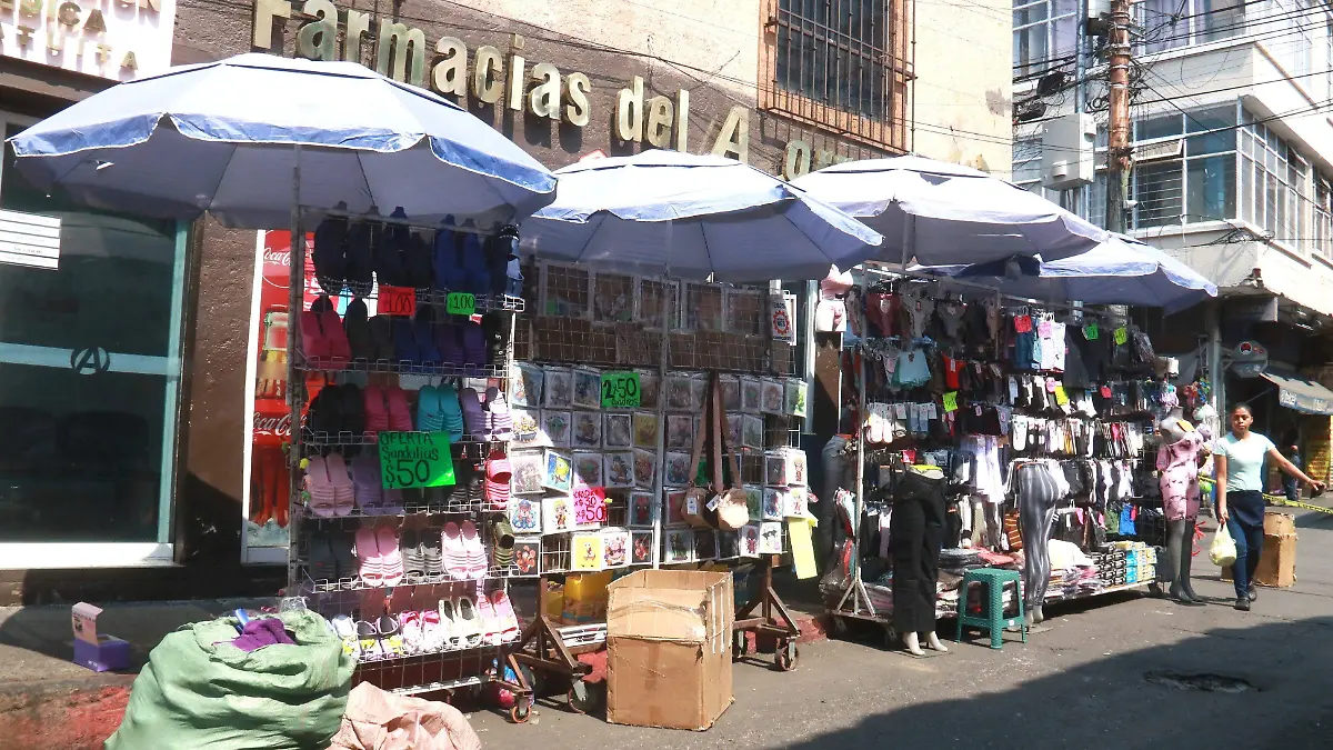 1030361_Comercio Informal Cuernavaca_impreso