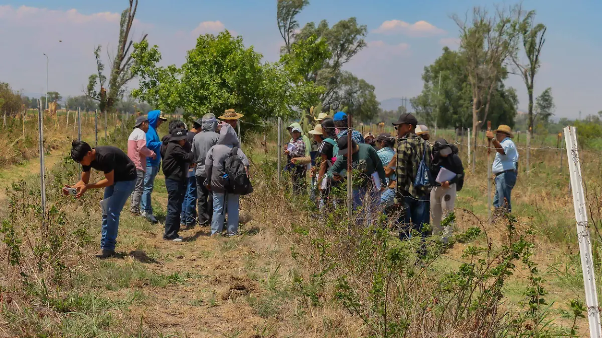 SJR A la comunidad