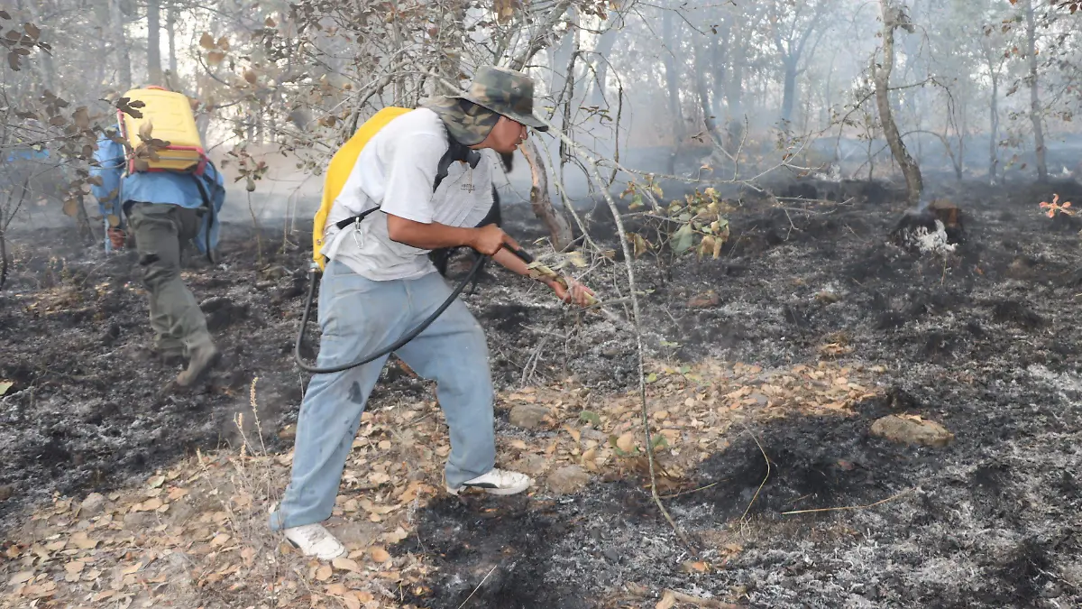 sjr Piden apoyo para la
