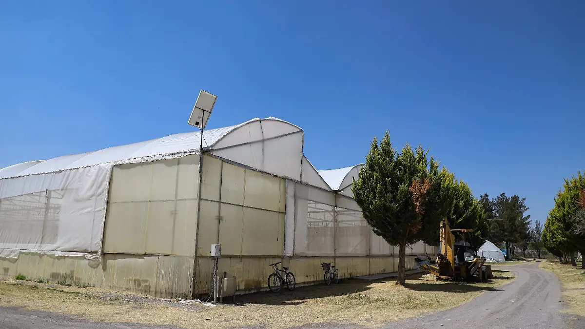 sjr Los campus del sur
