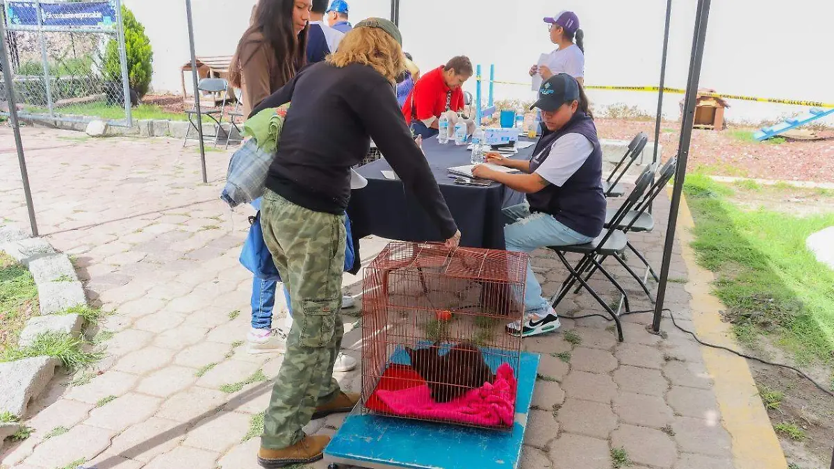 Cuentan con un grupo