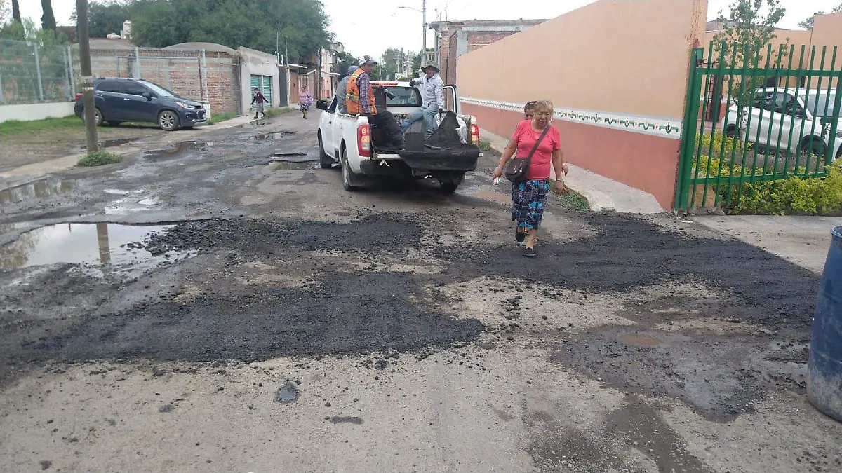Baches PE