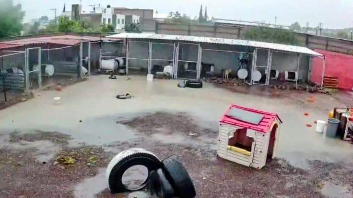 SJR El agua