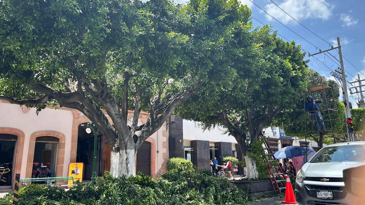 Las áreas están comprometidas con la administración, dijo