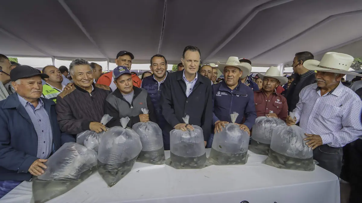 sjr El gobernador fue testigo