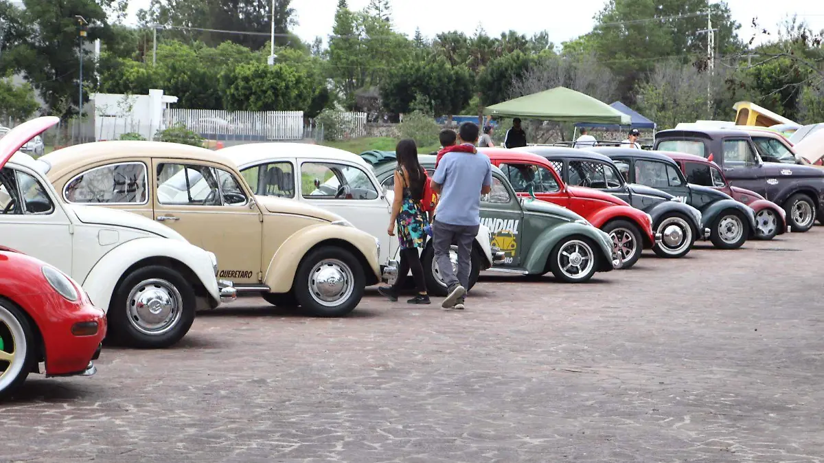 SJR La exhibición
