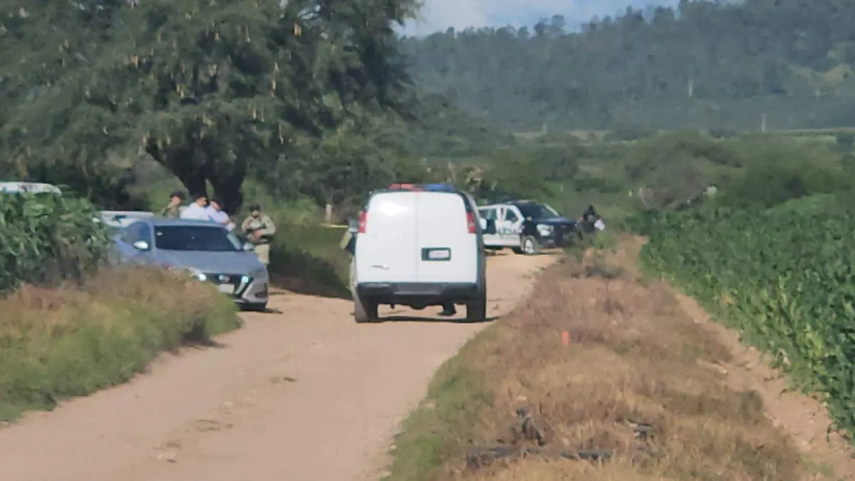 WhatsApp Image 2025-07-28 at 5.26.53 PM