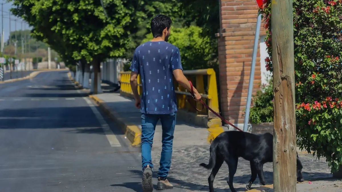 mascota