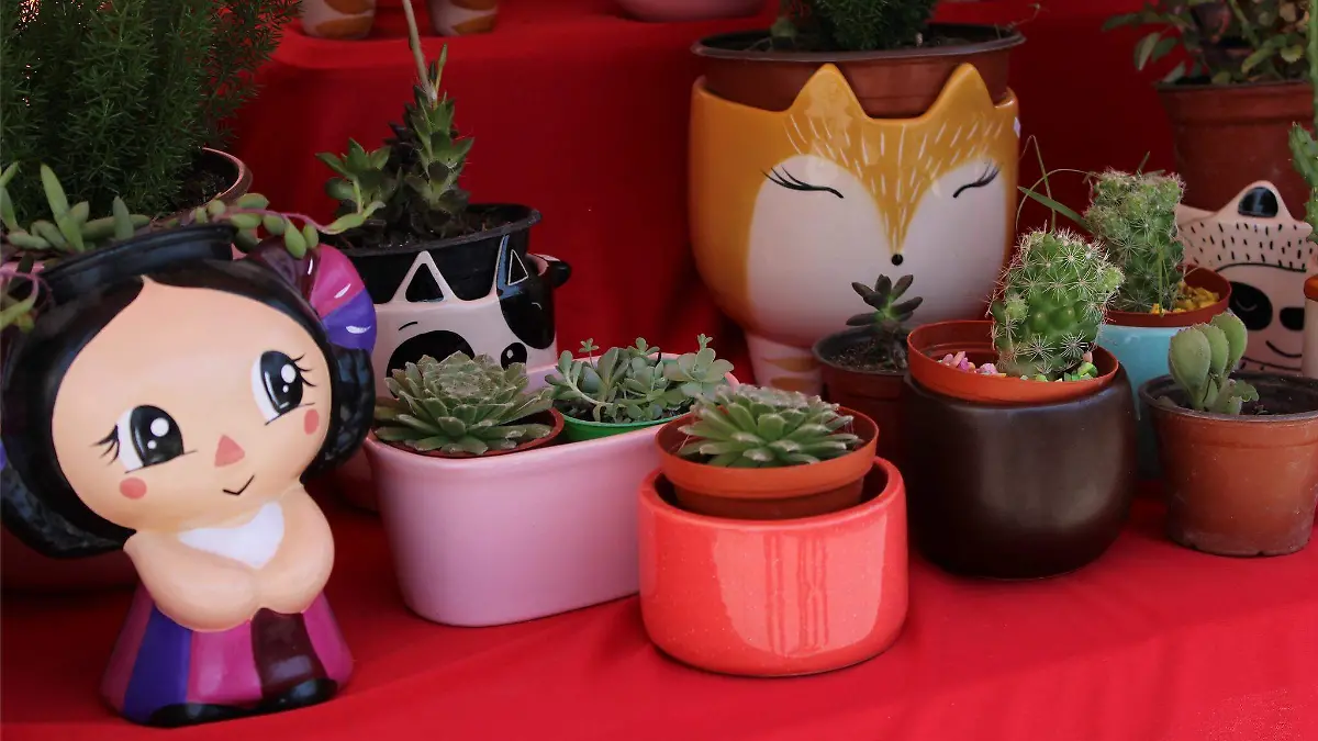 Productos