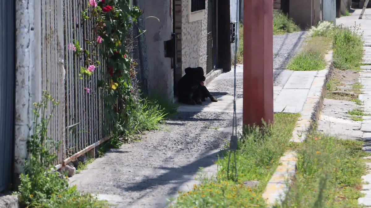 Vecinos