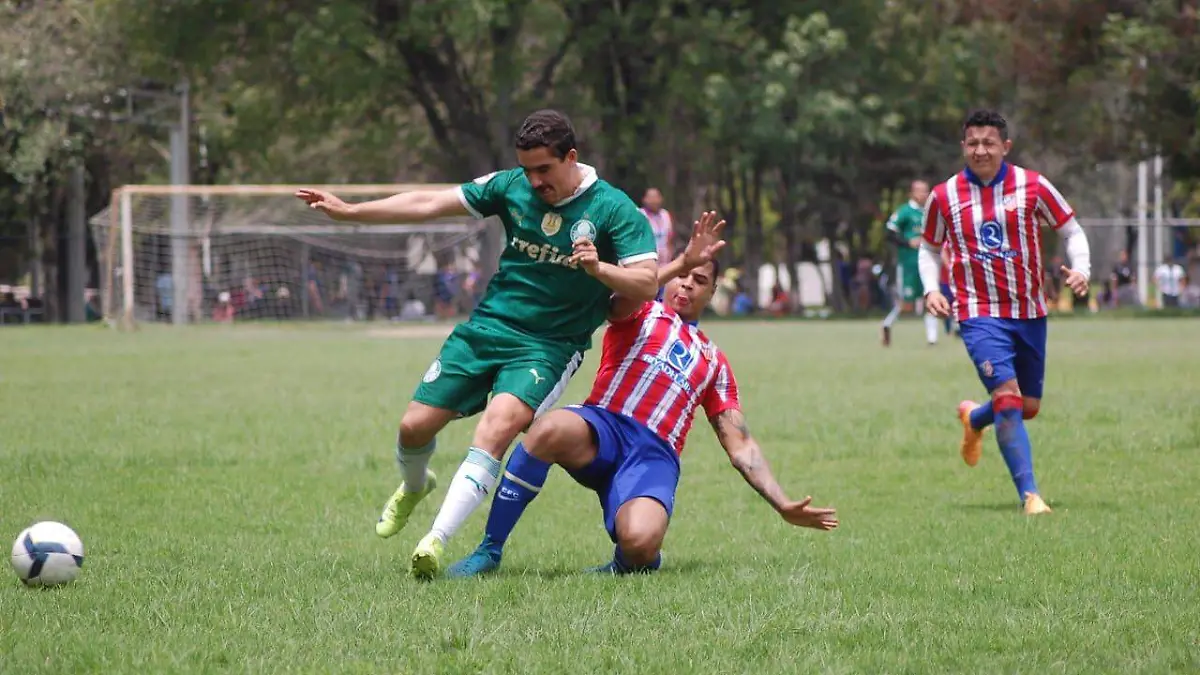 SJR LAS ACCIONES
