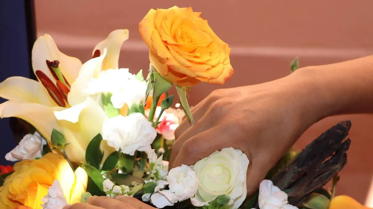 SJR Las rosas
