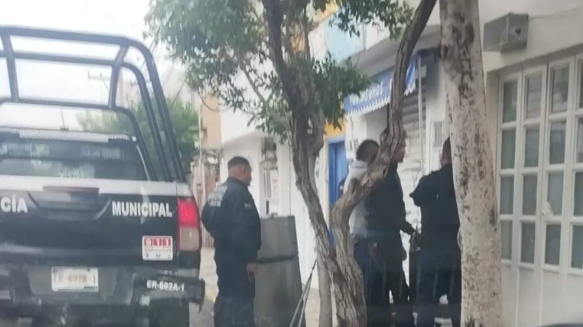 Imagen de WhatsApp 2025-08-23 a las 11.04.35_3a878446