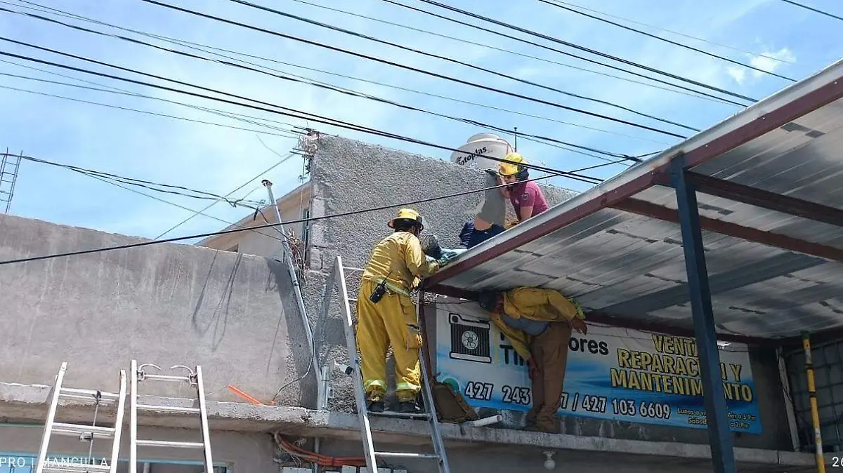 Imagen de WhatsApp 2025-08-26 a las 13.37.26_bc51733a