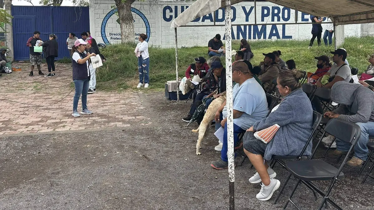sjr tienen mas