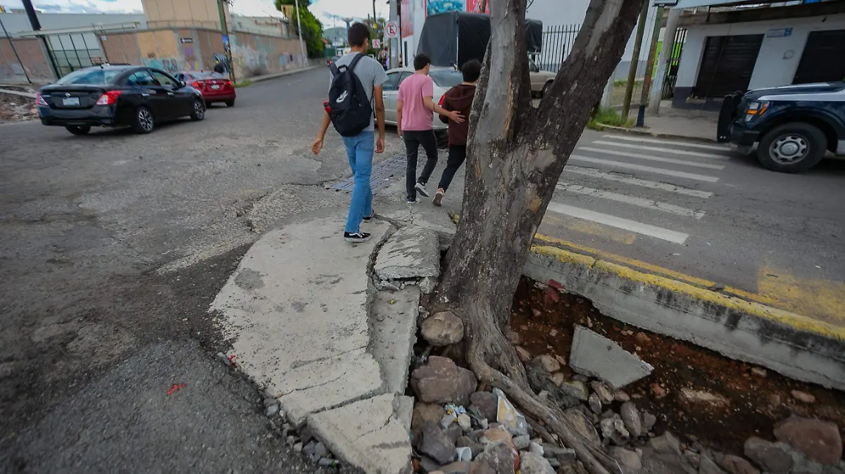SJR El arbol