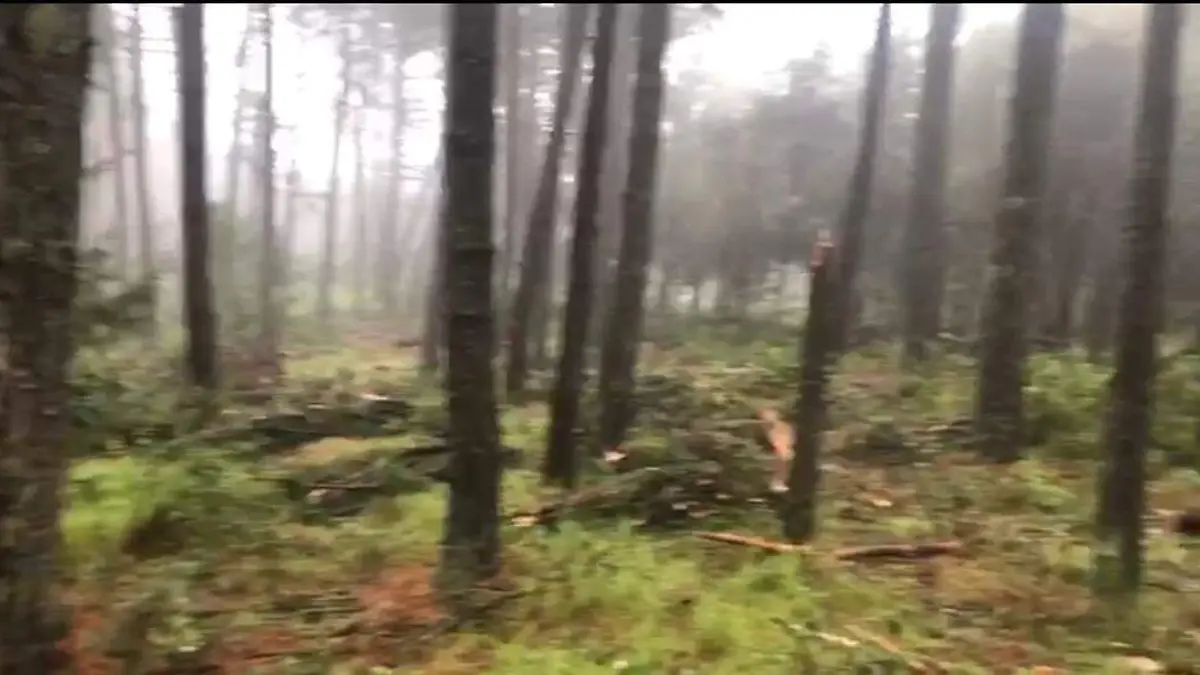 Esperan que se solucione pronto esta situación