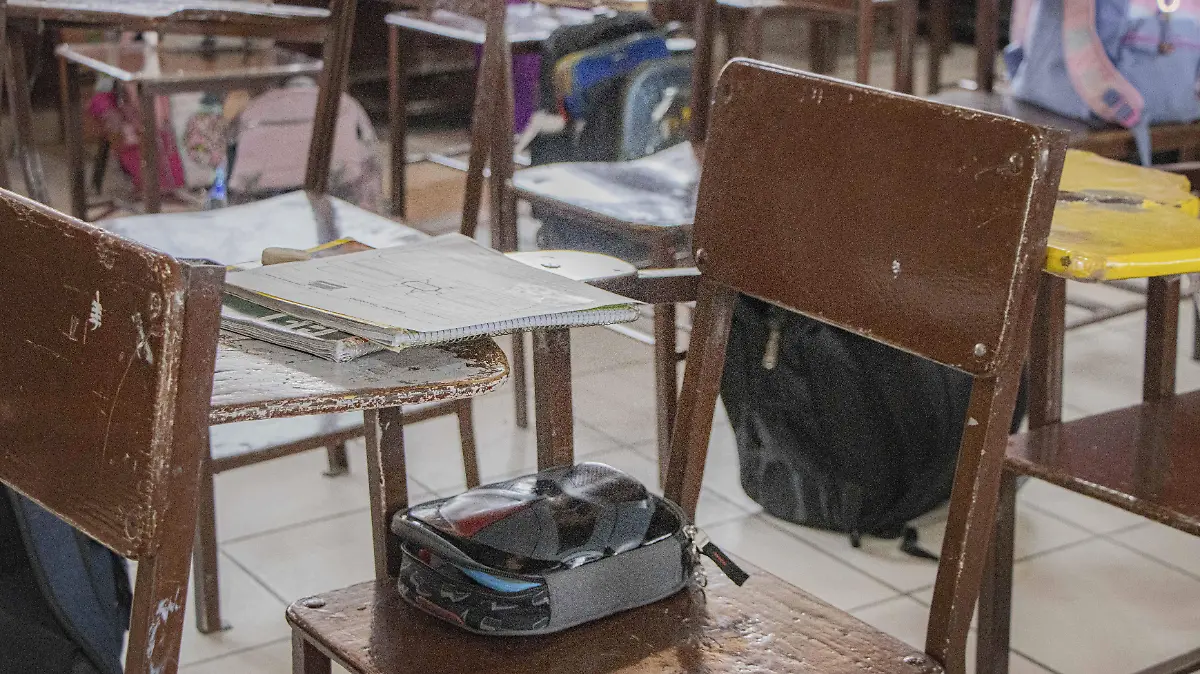 260623_fotos tematicas_estudiantes_primaria__7