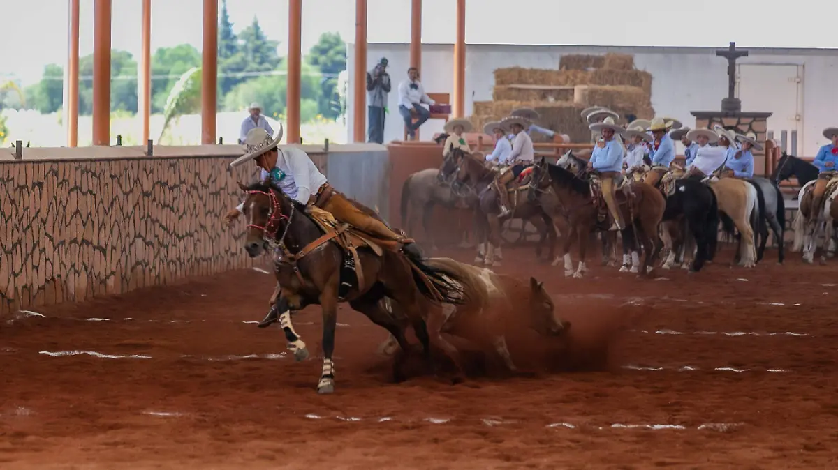SJR PARA MERECER