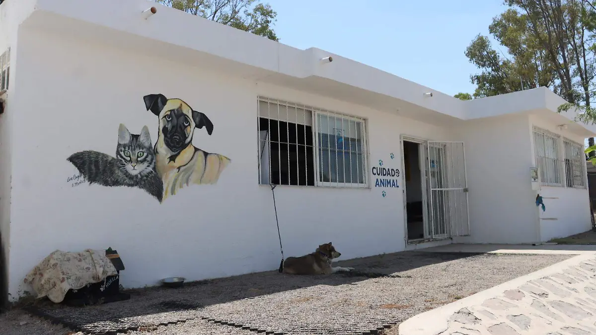 sjr Cuentan con personal calificado