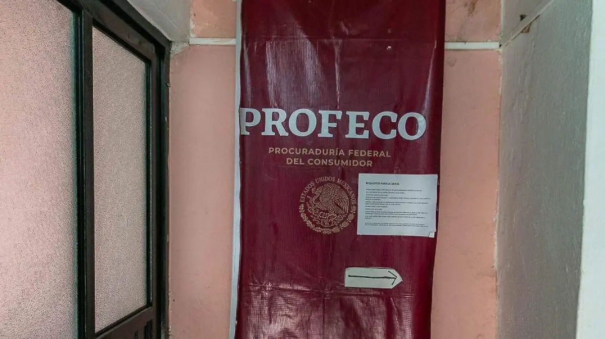Profeco SJR
