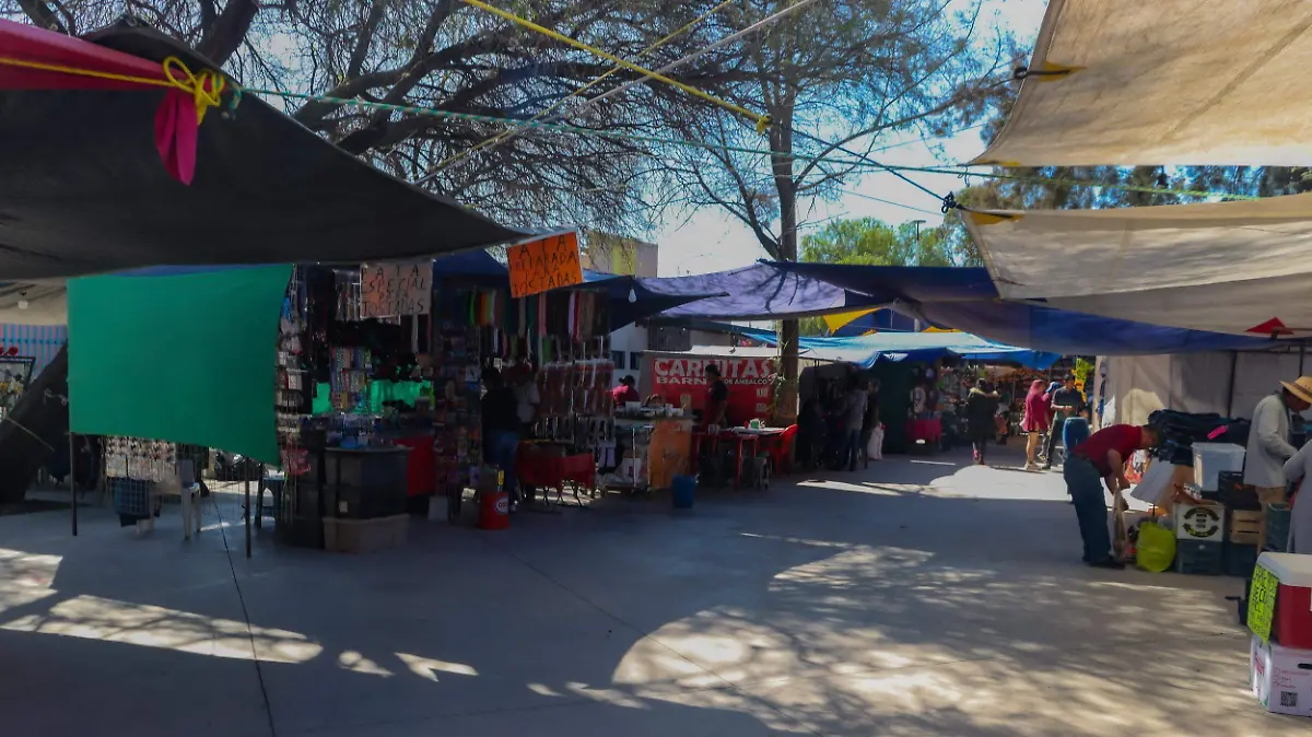 180125_tianguis_las garzas_CO_17