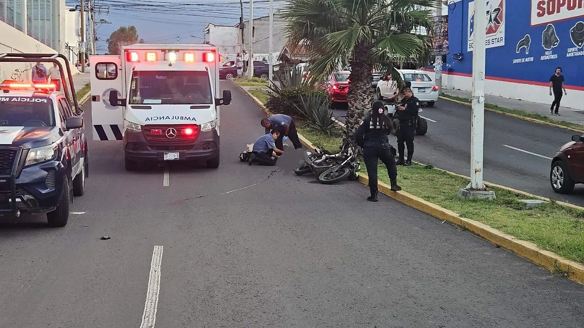 Imagen de WhatsApp 2025-09-28 a las 19.22.13_78520131