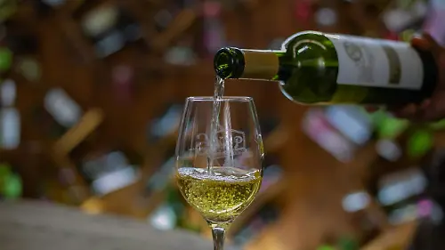 En el recinto  puedes degustar de una cata de 4 vinos