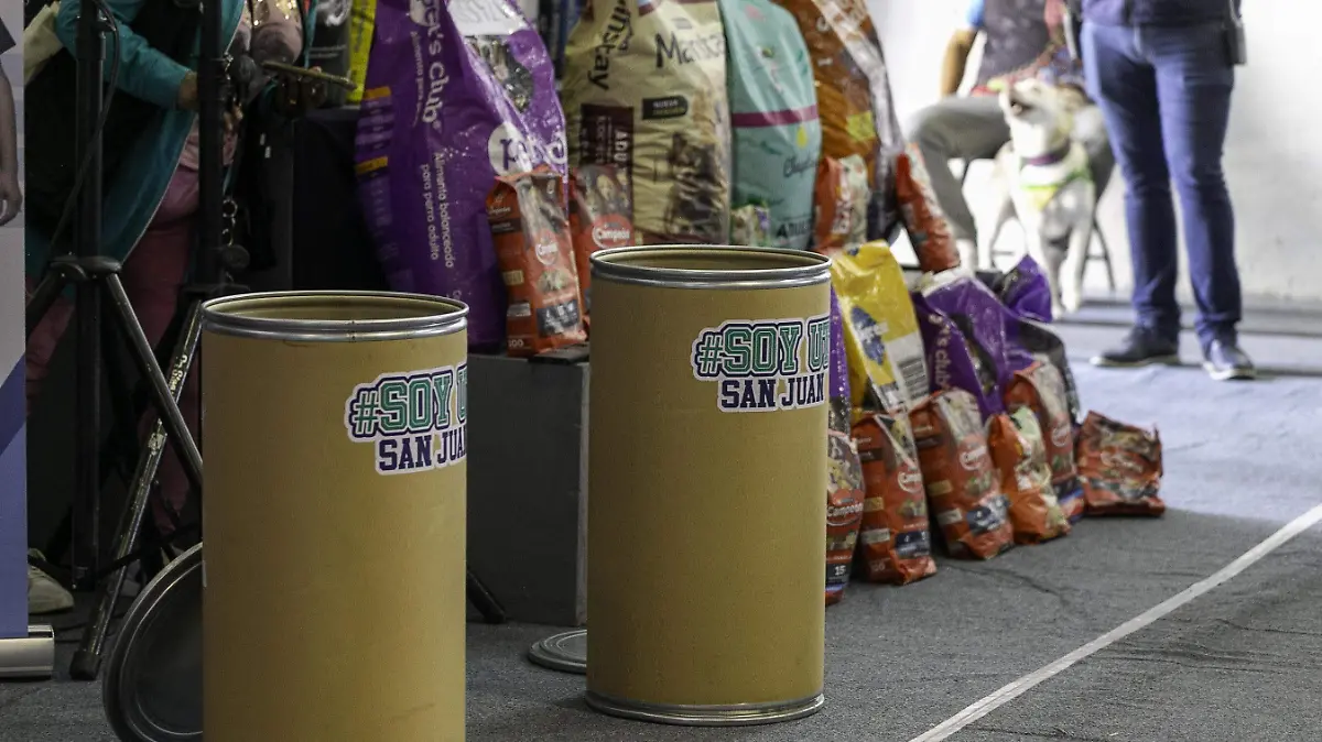 La Universidad Tecnológica 