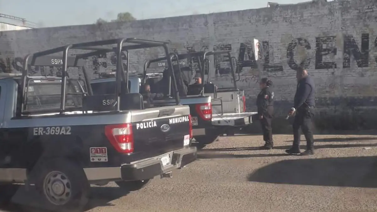 Imagen de WhatsApp 2025-10-31 a las 09.08.48_8cb2ed38