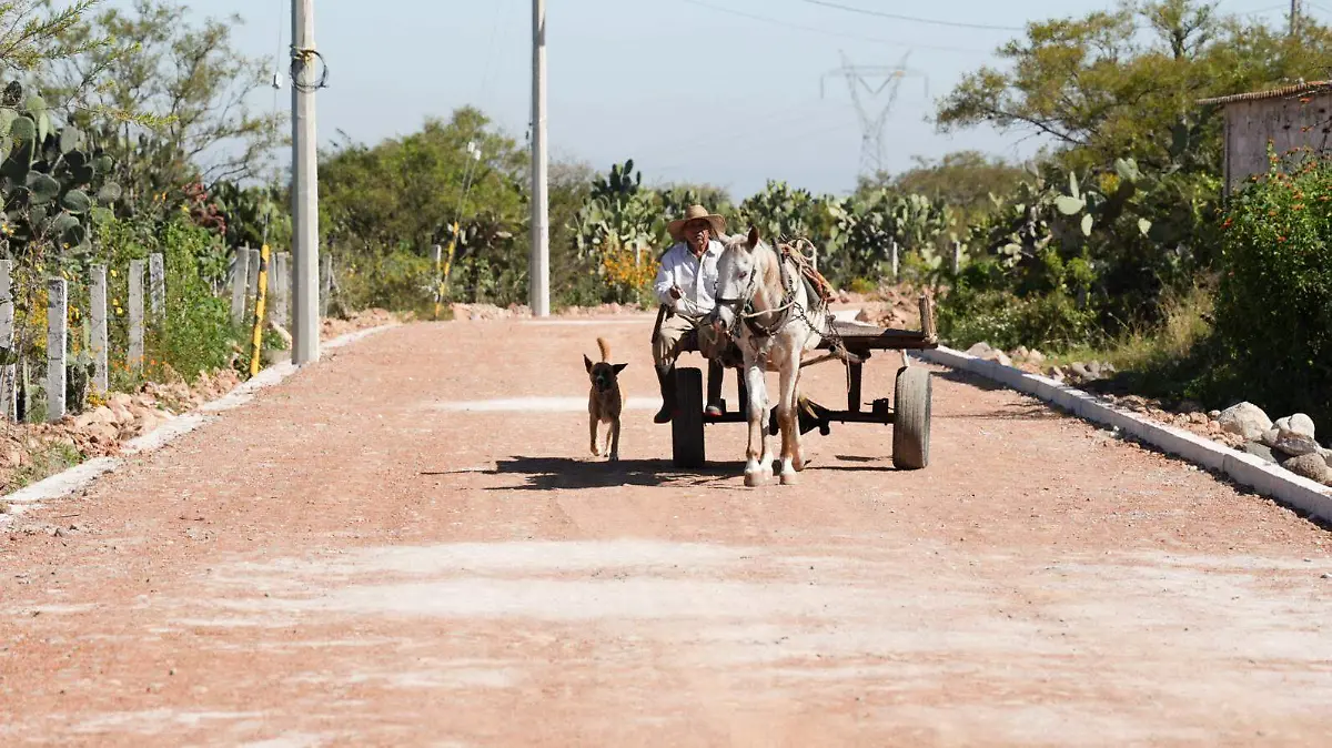 571270869_1449843216872014_650882291960662108_n