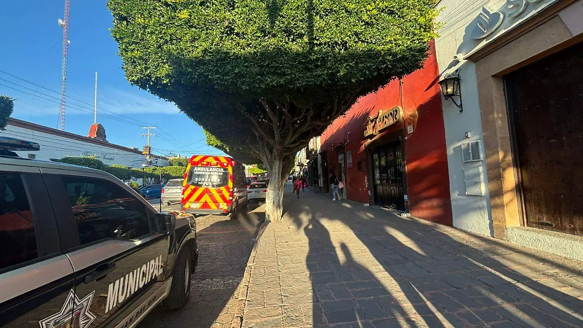 Imagen de WhatsApp 2025-11-11 a las 17.17.46_a10f231f