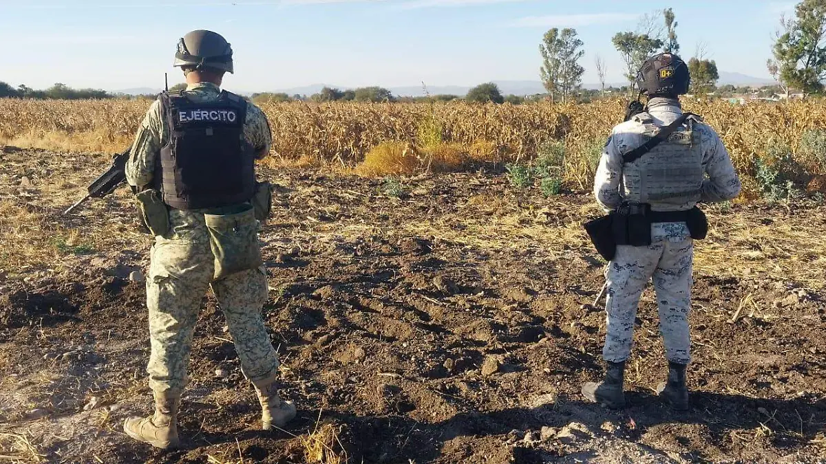 WhatsApp Image 2025-11-13 at 8.50.26 AM