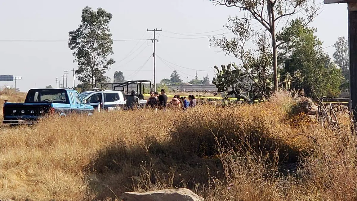 WhatsApp Image 2025-11-24 at 12.16.05 PM