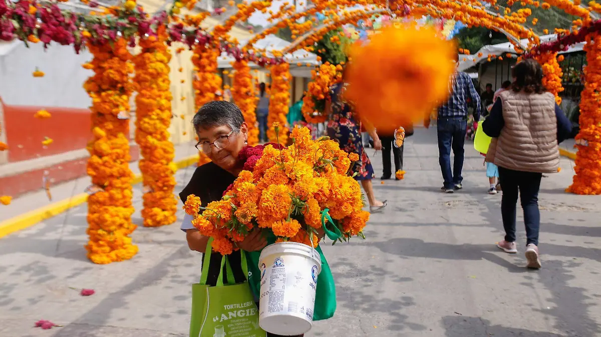 487060661_981132807536398_6242845157724386363_n