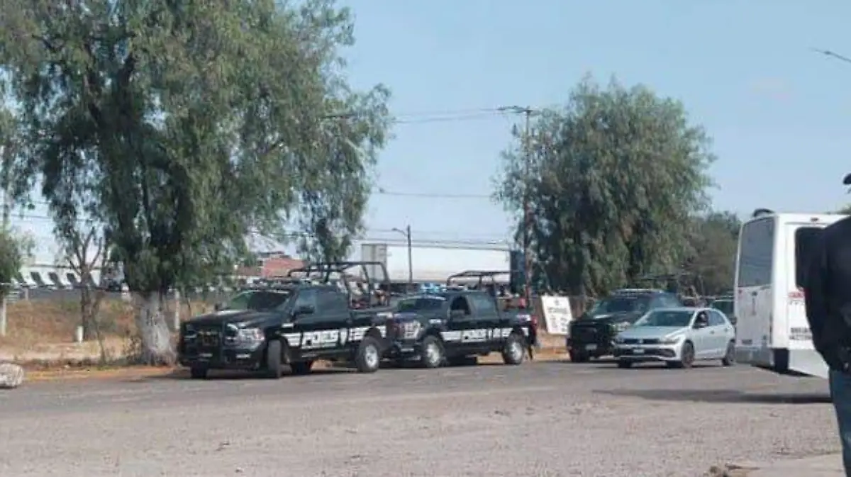 WhatsApp Image 2025-12-08 at 4.45.05 PM