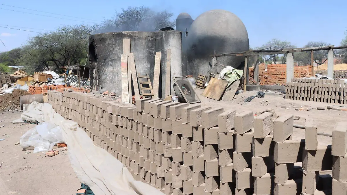 20230314111919_IMG_8607