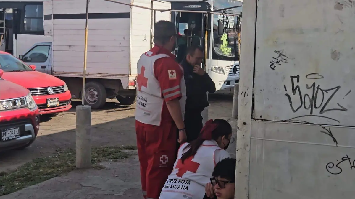 WhatsApp Image 2025-12-16 at 4.44.15 PM