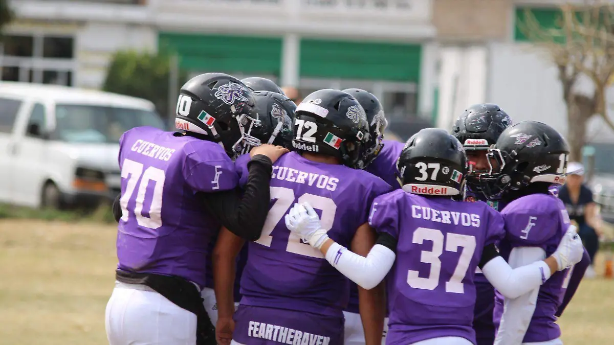 WhatsApp Image 2025-12-17 at 13.00.13