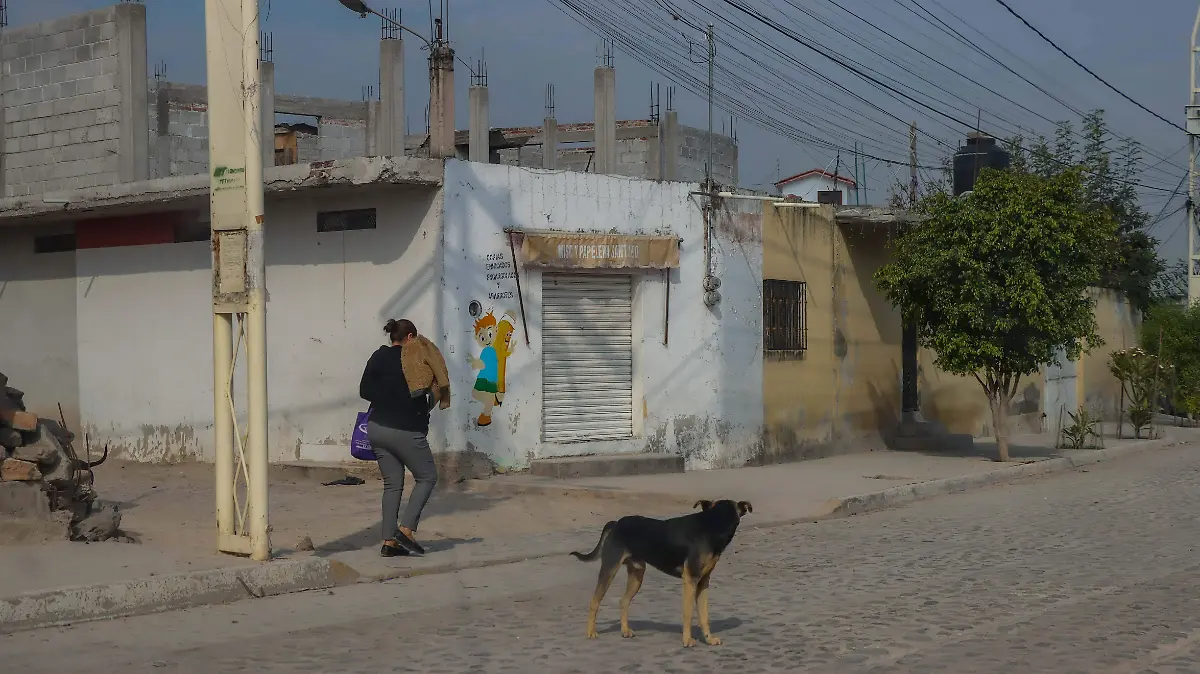 171225_perros de la calle_pedro escobedo_CO_15