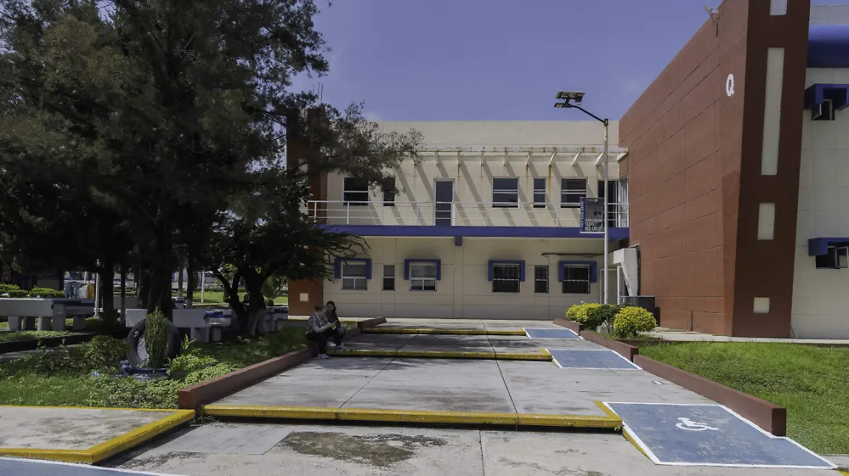 SJR Hicieron algunas