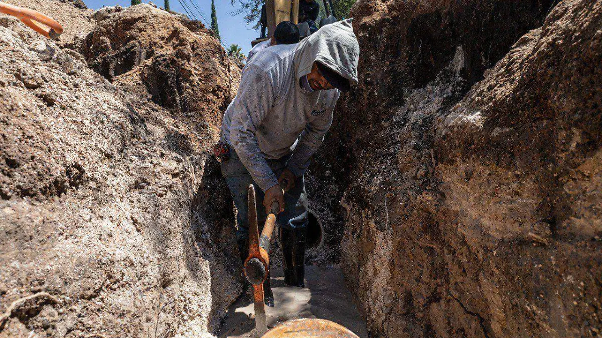 WhatsApp Image 2025-12-23 at 10.24.38 AM (1)