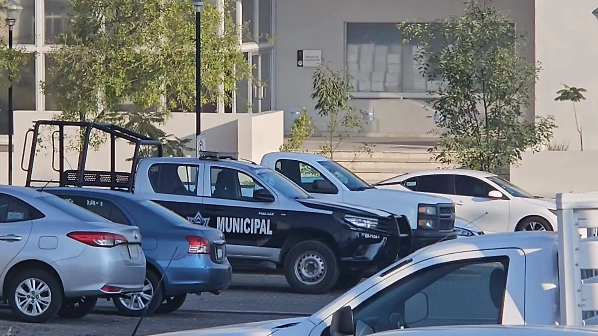 WhatsApp Image 2025-12-28 at 9.18.39 AM