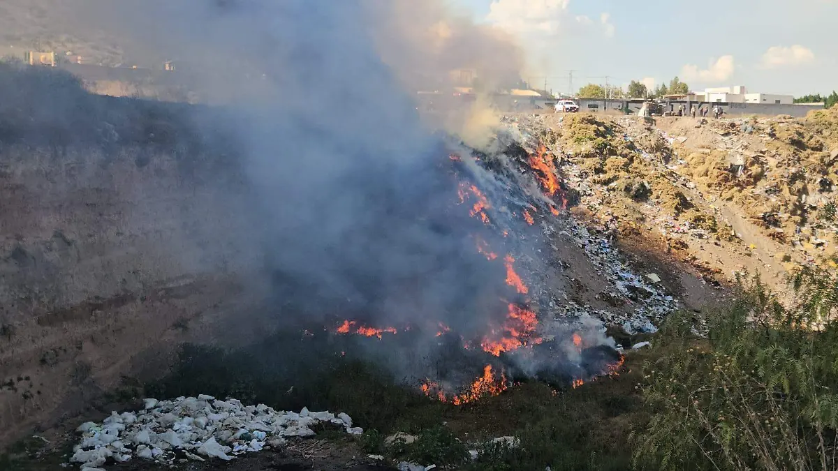 WhatsApp Image 2025-12-28 at 2.03.29 PM