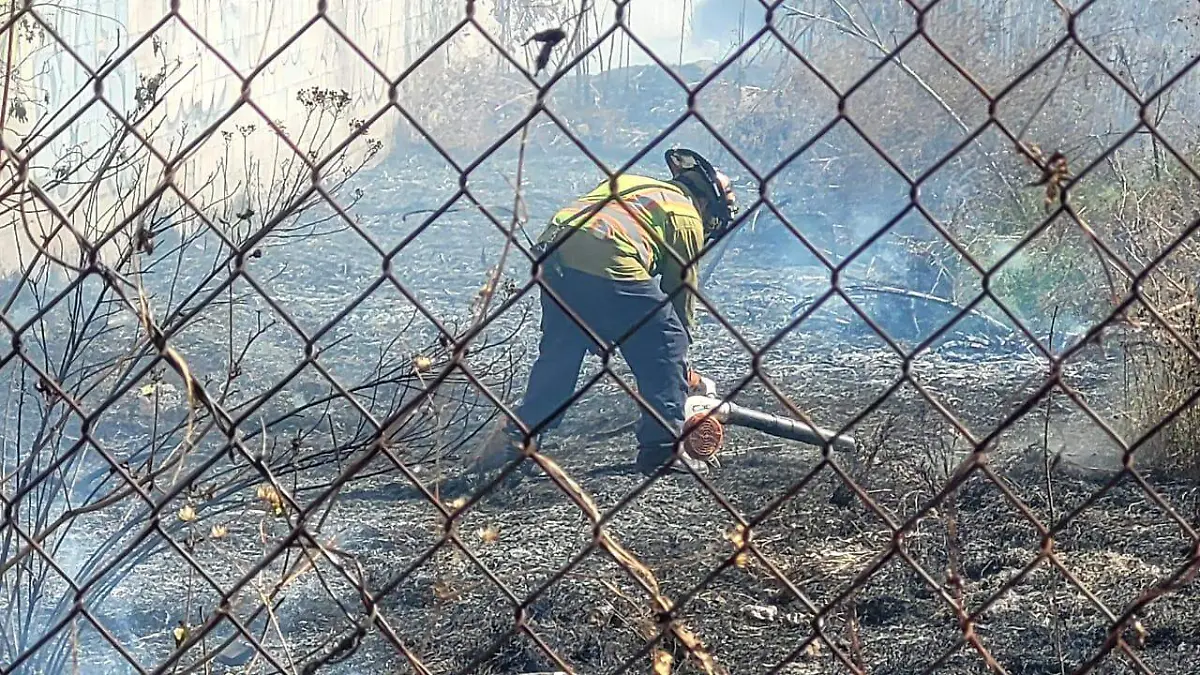 WhatsApp Image 2025-12-30 at 12.18.40 PM