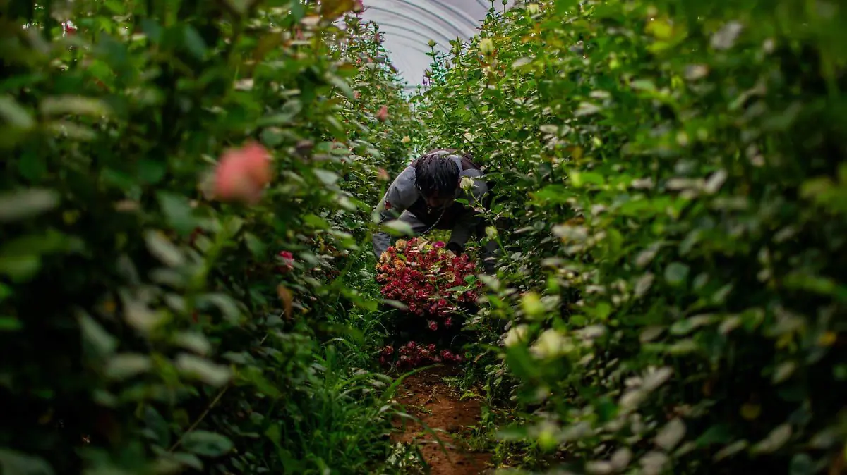 WhatsApp Image 2025-12-30 at 3.37.48 PM