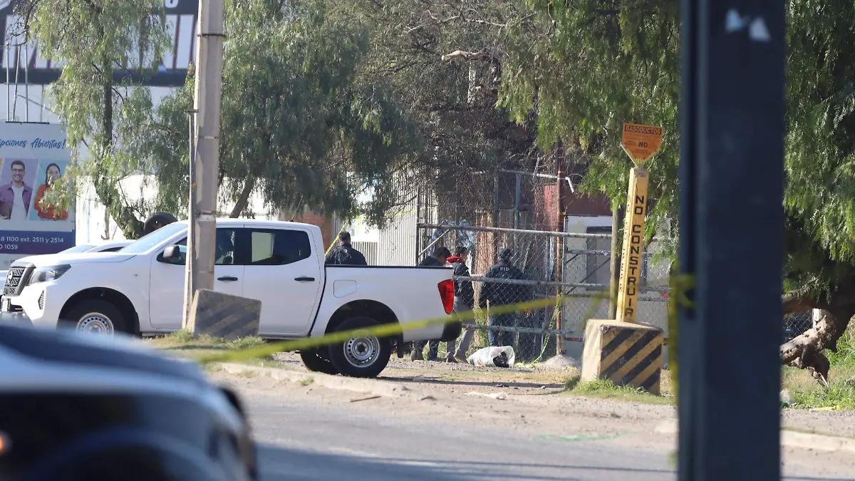 291225_ejecutados_constituyentes_ldvu 28