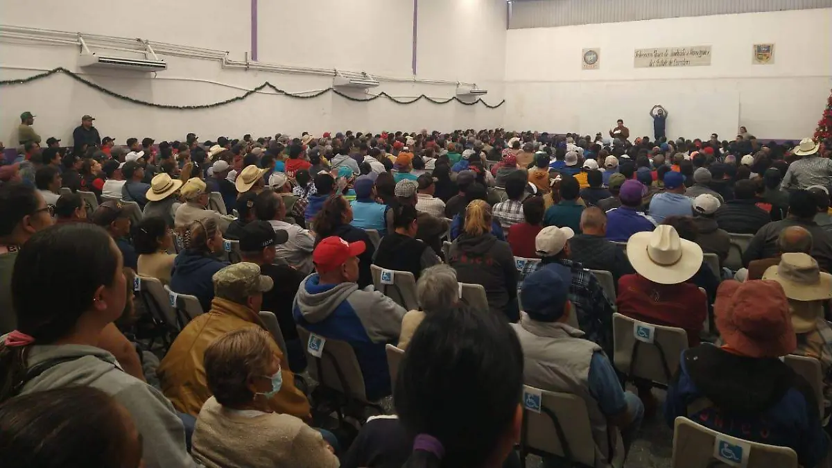 WhatsApp Image 2025-12-31 at 3.25.11 PM